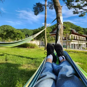 카페피크닉 사진 2