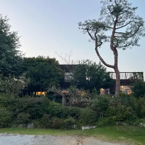 매화마름 리뷰 사진