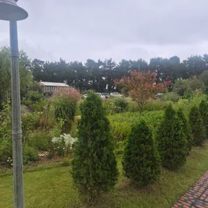 현상소 리뷰 사진