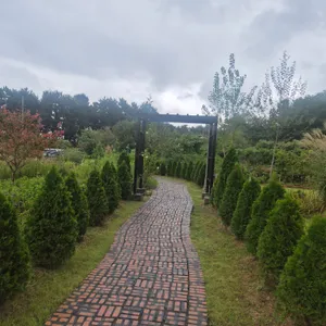 현상소 리뷰 사진