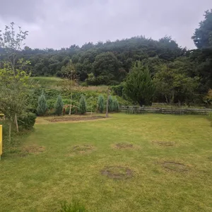 현상소 리뷰 사진