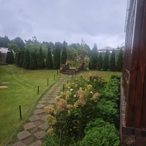 현상소 리뷰 사진