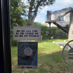 서리 리뷰 사진