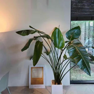 서리 리뷰 사진