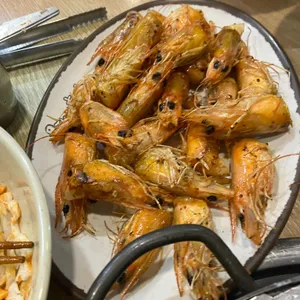 오징어와친구들 사진