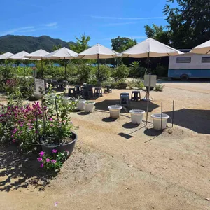 두물머리연핫도그 리뷰 사진