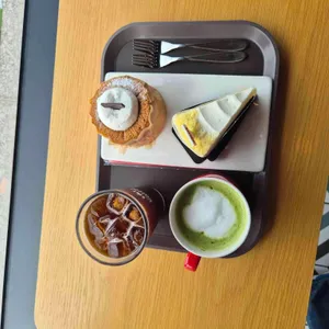 할리스 사진