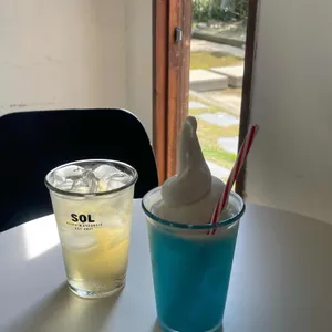 솔 사진