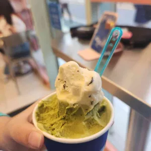 올가콘라라 사진