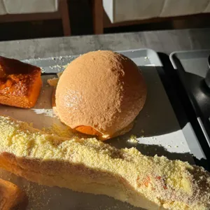 바리루스 사진
