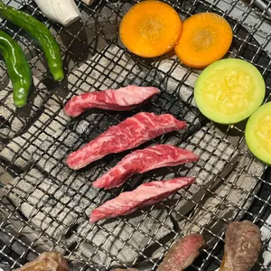 만게츠 사진