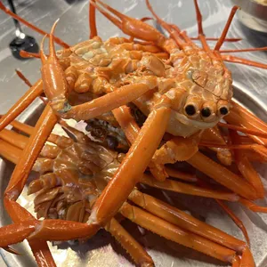 게판 오분전 사진