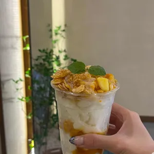 솔티라이엇 사진