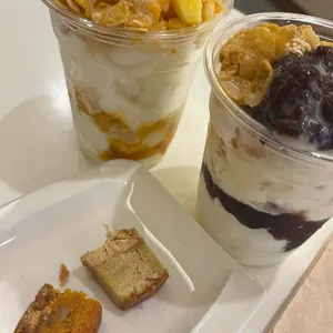 솔티라이엇 사진