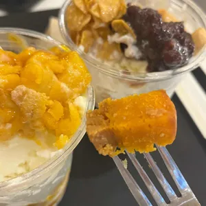 솔티라이엇 사진