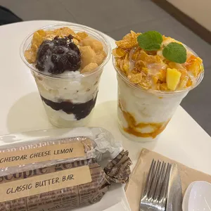 솔티라이엇 사진