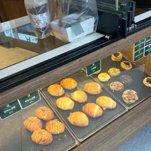 솔티라이엇 사진