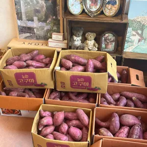 고구마베어하우스 리뷰 사진