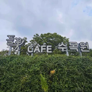 들꽃카페 리뷰 사진