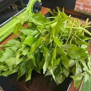 미돼지 리뷰 사진