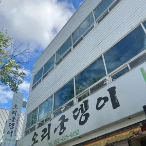 오리궁뎅이 사진 2
