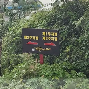 밥꽃하나피었네 리뷰 사진