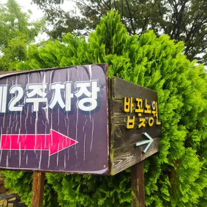 밥꽃하나피었네 리뷰 사진