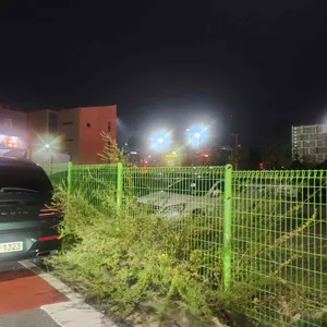 본만두 리뷰 사진