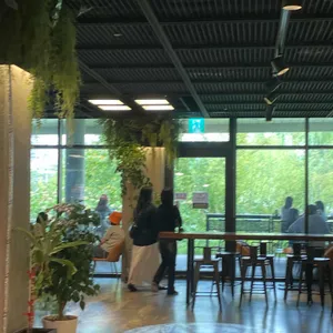 오아시스 리뷰 사진