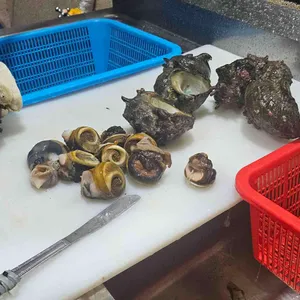 추자도태청수산마트 리뷰 사진