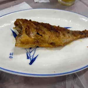 회뜨는아지야 사진