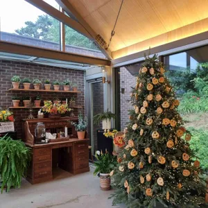 카페 피어라 리뷰 사진