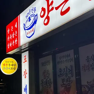 양은이네 대표 사진