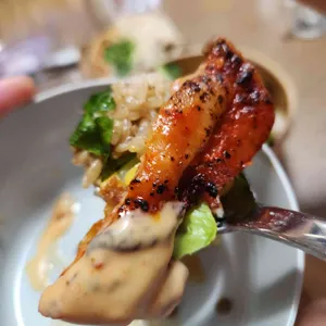 폴라니포케 사진