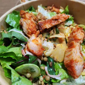 폴라니포케 사진