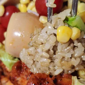 폴라니포케 사진