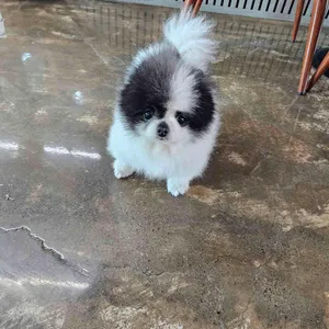 더움 리뷰 사진