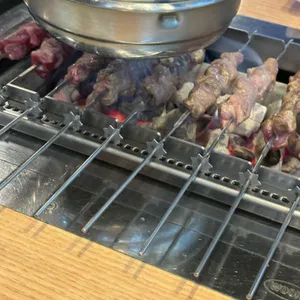 양통꼬치 사진
