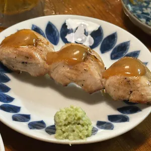 스기 대표 사진