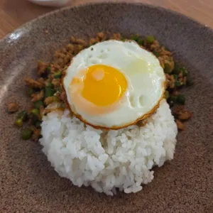츄츄 사진 2
