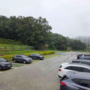 자연애수라간 리뷰 사진