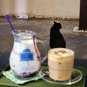 그리너리하우스 사진