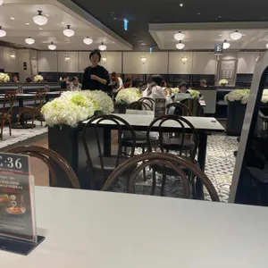 애슐리퀸즈 대표 사진