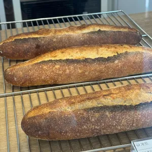 세브 대표 사진