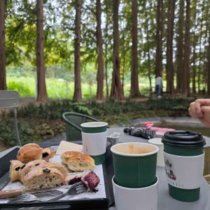 메타포레스트 사진