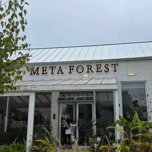 메타포레스트 리뷰 사진