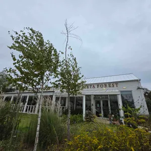 메타포레스트 리뷰 사진