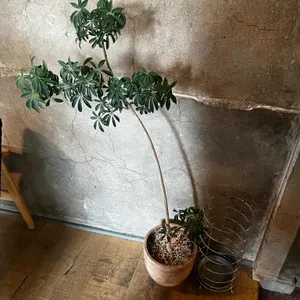 로프트하우스 리뷰 사진