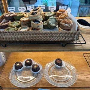 메타포레스트 사진