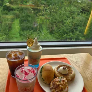 모닝트리 대표 사진